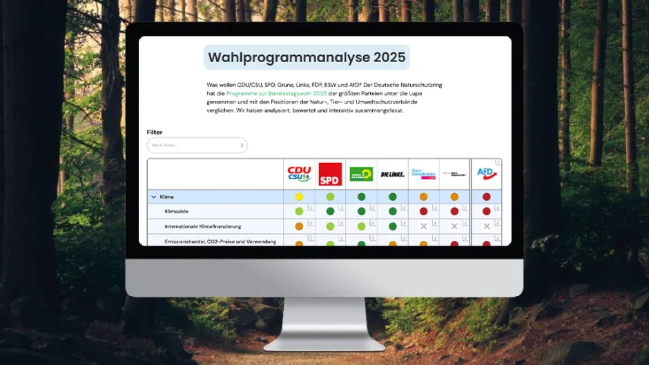 Computerbildschirm mit vergleichender Tabelle zur Wahlprogrammanalyse von Union, SPD, Grüne, Linke, FDP, BSW, AfD